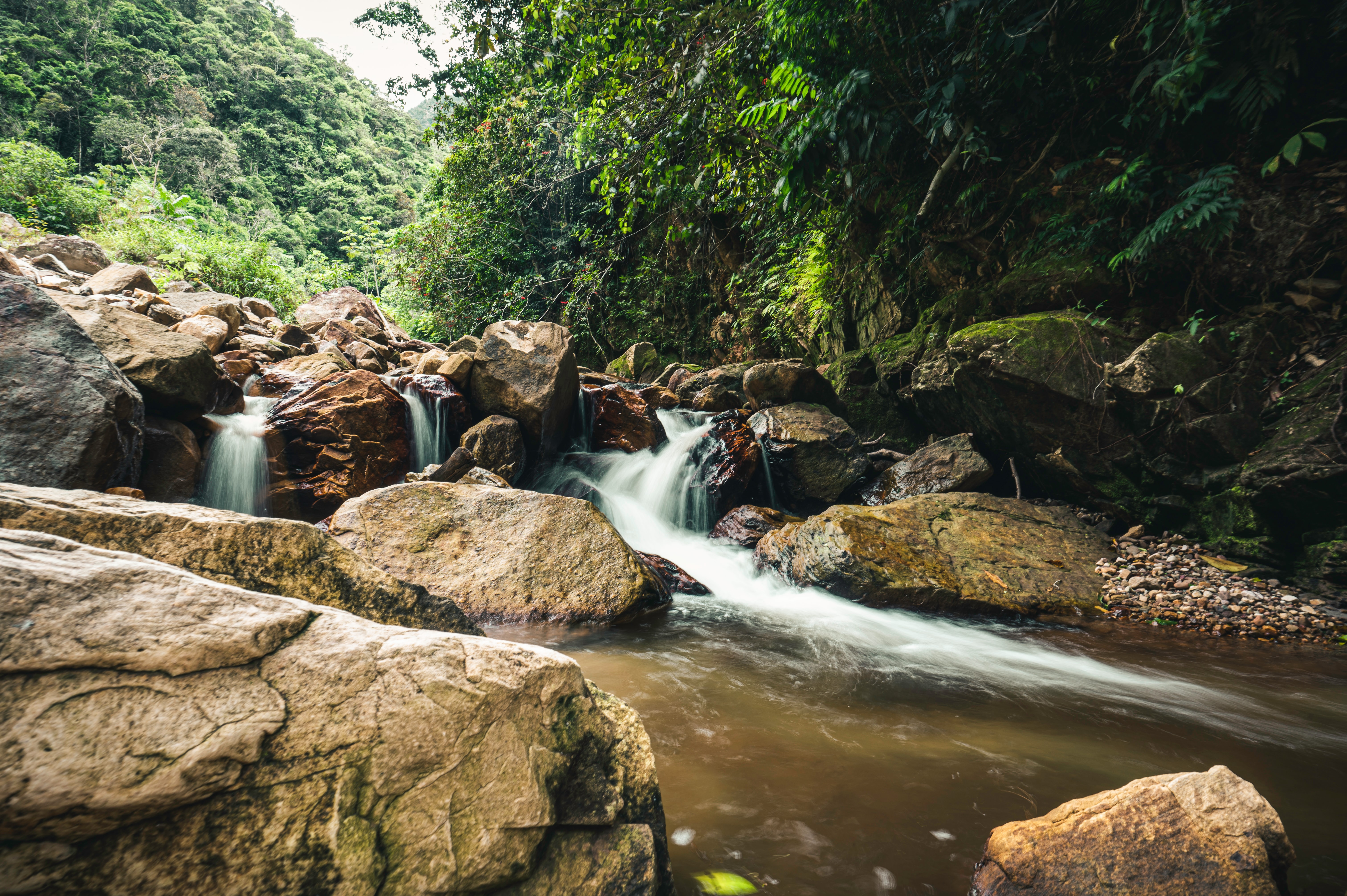 Amazonas-Regenwald geschützt werden muss